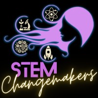 STEM Changemakers logo - Similar company to Stem Punks