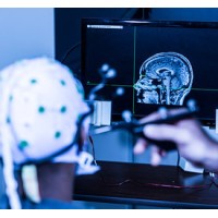 University of Washington Graduate Program in Neuroscience logo - Similar company to Rfpgo.Ai