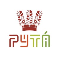 Pytá Preservação Digital e Tecnologia logo - Similar company to Cacho De Ideias