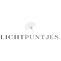 Lichtpuntjes logo - Similar company to Duurzaamste Kilometer Van Nederland