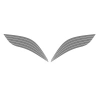 Aviators Group