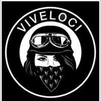 ViVeloci LLC logo - Similar company to Victor79