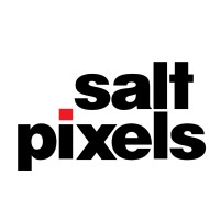 Salt Pixels Pvt Ltd logo - Similar company to Goplus