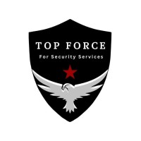 Top Force logo - Similar company to Pinnacle Ltd