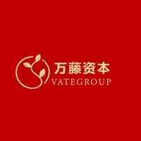 Vategroup Capital logo - Similar company to Equigenesis Corporation