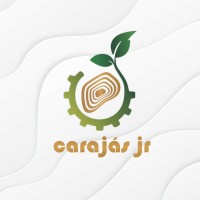 Carajás Jr - Serviços e Consultoria Mineral e Ambiental logo - Similar company to Bits Jr. Soluções Em Ti