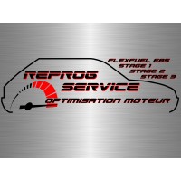 Reprog Service logo - Similar company to Auto-Entreprise Thomas Di Meco
