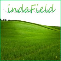 indaField logo - Similar company to Rare Smoke