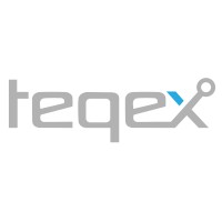 Teqex Ltd logo - Similar company to Govdata