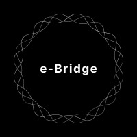 Ebridge Solutions logo - Similar company to Pharma It Partner Services