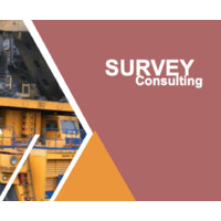 Survey Consulting logo - Similar company to Survey Consultancy Llp