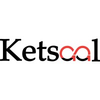 Ketsaal logo - Similar company to Digivance Solutions