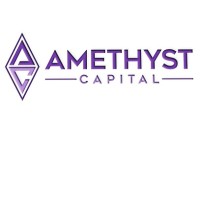 Amethyst Capital logo - Similar company to Braingenetics Sa
