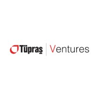 Tüpraş Ventures logo - Similar company to Iongenics Electrochemical Technologies Inc.
