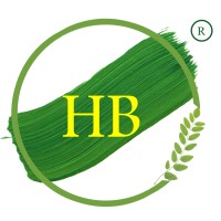 HB ASSOCIATES logo - Similar company to Flexonixs Infosoft Private Limited