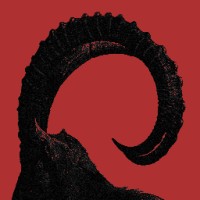 Blackdoor logo - Similar company to Southend Interactive