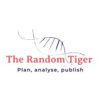 The Random Tiger logo - Similar company to Hidemsas