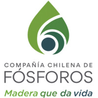 Compañía Chilena de Fósforos S.A. logo - Similar company to Temsa Sa