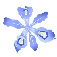 Magna Silva, LLC logo - Similar company to Izel Native Plants