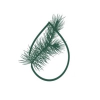 GO-RESINLAB logo - Similar company to Life Rebollo