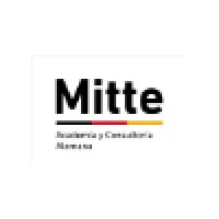 Mitte Academia y consultoría alemana logo - Similar company to Mitte