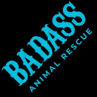 Badass Animal Rescue logo - Similar company to 5 Bridges Guided Wellness Planning