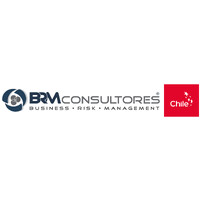 BRM Consultores ® logo - Similar company to Brm Consulting (Business Risk Management Consulting Sc)