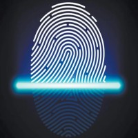 Scotcyber Ltd logo - Similar company to The Scotcoin Project Cic