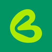 Bring Brazil logo - Similar company to Bracham