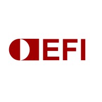 EFI Systems Ltd. logo - Similar company to Helios Gerätebau Für Kunststofftechnik Gmbh