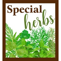 Special herbs logo - Similar company to Obadjaschool
