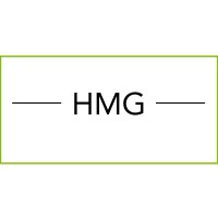 Harvard Millennial Group logo - Similar company to Rescued