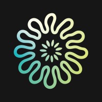 Soursop logo - Similar company to 6Blox