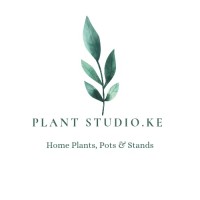 Plant Studio Kenya logo - Similar company to The Mansion Dance Studio