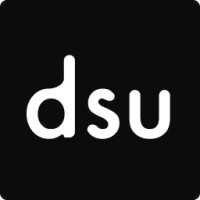 DataSkillUp LLC logo - Similar company to Capitol Bridge