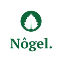 Nogel logo - Similar company to D'Difference