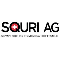 SQURI AG logo - Similar company to Kayoom Gmbh