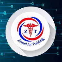 Zewail Academy أكاديمية زويل logo - Similar company to Eduspace