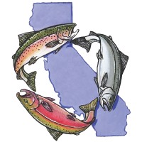 Salmonid Restoration Federation logo - Similar company to Galvanize Partners