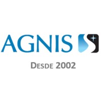 AGNIS Executive Search logo - Similar company to Upside Executive Search