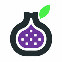 Fig Power logo - Similar company to Paddesign-Design-Develop-Deliver