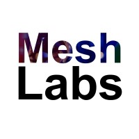 ASU Mesh Labs logo - Similar company to Meteor Studio At Arizona State University