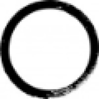 Planetary Collective