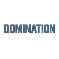 Domination Experience logo - Similar company to Wide Eye