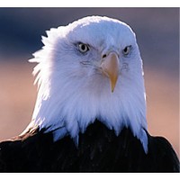 MRX Technologies USA logo - Similar company to Mrx Technologies