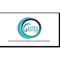 GASTEX GROUP (Gestion Affaires Services Techniques Expertises ) logo - Similar company to Vosvi
