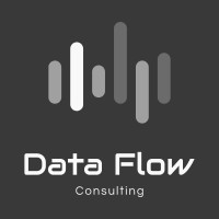 Data Flow Consulting logo - Similar company to Rixon Auto Care