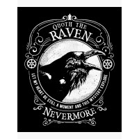 Nevermore logo - Similar company to Twintech Industry, Inc.