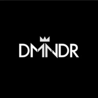 DMNDR logo - Similar company to Hashfire