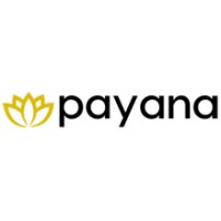 Payana logo - Similar company to Traffic Manager Group